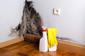 Best Environmental Consulting for Mold Prevention  in Vermillion, SD